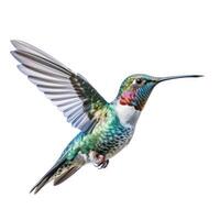 Blue vivid Broad Billed Hummingbird isolated. Illustration AI Generative photo