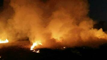 bosque incendios bosque ardiente para agricultura. video