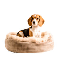 beagle-harrier valp tax basset hund generativ ai png