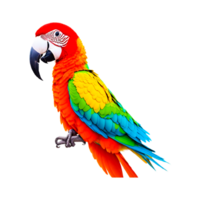 Great Green Macaw png Generative Ai