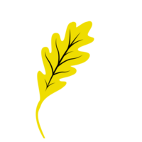 Yellow Autumn Leaf, Single Leaf png