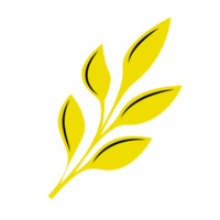 Yellow Autumn Leaf, Single Leaf png