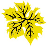 Jaune l'automne feuille, Célibataire feuille png