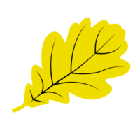 amarelo outono folha, solteiro folha png