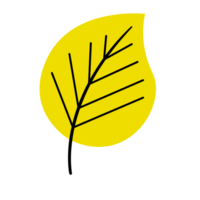 Jaune l'automne feuille, Célibataire feuille png