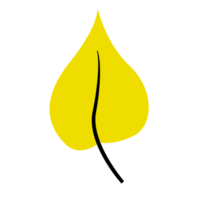 Jaune l'automne feuille, Célibataire feuille png