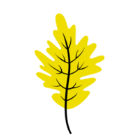 feuille de chêne jaune png