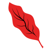 Autumn Red Single Leaf, Fall Leaf png