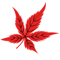 Autumn Red Single Leaf, Fall Leaf, Maple Leaf png