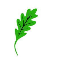 Fresh Single Green Leaf, Leaf of Spring Season, Card Leaf Decoration png