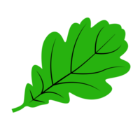 Fresh Single Green Leaf, Leaf of Spring Season, Card Leaf Decoration png