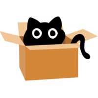 Cute black cat in cardboard box. Cat is looking out of a box. png