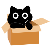 Cute black cat in cardboard box. Cat is looking out of a box. png