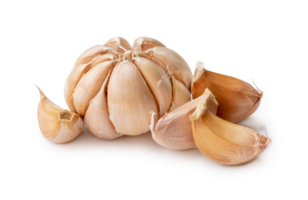 Single fresh white garlic bulb with segments isolated with clipping path and shadow in png file format Thai herb is great for healing several severe diseases, heart attack, Hyperlipidemia