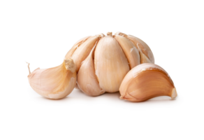 Single fresh white garlic bulb with segments isolated with clipping path and shadow in png file format, Thai herb is great for healing several severe diseases, heart attack