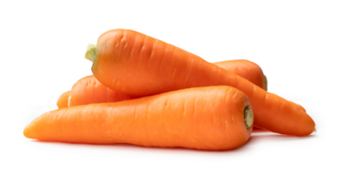 Fresh orange carrots in stack isolated with clipping path and shadow in png file format, Close up of healthy vegetable root