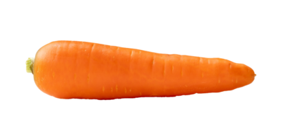 Single fresh orange carrot isolated with clipping path in png file format, Close up of healthy vegetable root