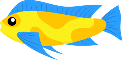 Cute tropical fish png