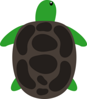 mar Tortuga ilustración png