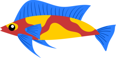 süß tropisch Fisch png