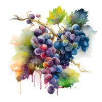 watercolor wine grapes AI Generative png