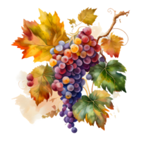 watercolor wine grapes AI Generative png