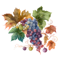 watercolor wine grapes AI Generative png