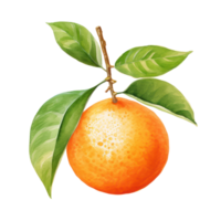 waterverf oranje fruit. illustratie ai generatief png
