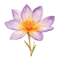saffraan bloem waterverf. illustratie ai generatief png