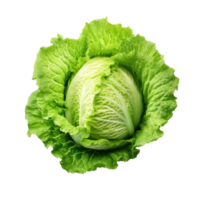 Green fresh lettuce isolated png