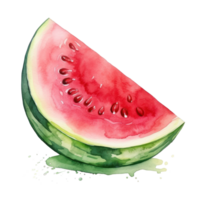 Watercolor watermelon isolated. Illustration png