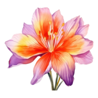 Saffron flower watercolor. Illustration AI Generative png