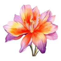 Safran Blume Aquarell. Illustration ai generativ png