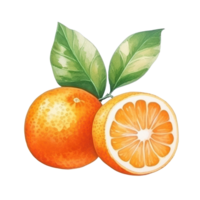 Watercolor orange fruit. Illustration AI Generative png