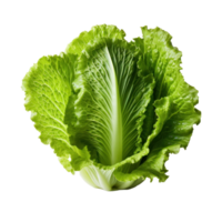 Green fresh lettuce isolated png