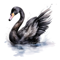 Preto cisne aquarela. ilustração ai generativo png