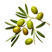 Olive twig with several green olives on it. Illustration AI Generative png