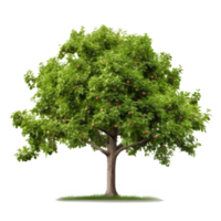 Apfel Baum isoliert. Illustration ai generativ png