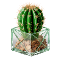 cactus isolé. illustration ai génératif png