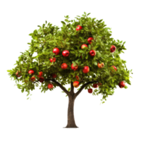 Apple tree isolated. Illustration AI Generative png