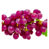 Purple Grape Images  Generative Ai png