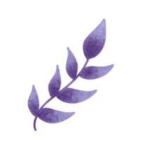 Cute leaf sweet color png