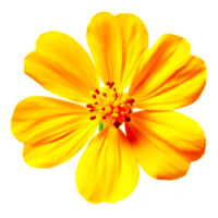 Yellow flower png generative ai