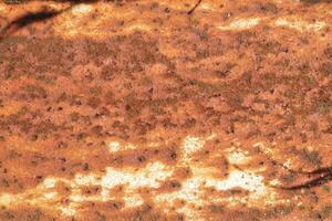 Metal abstract texture. Surface grunge backdrop. Dirty effect pattern. Material background. photo