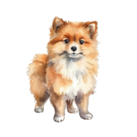 fofa pomerânia cachorro ai generativo png