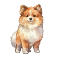 fofa pomerânia cachorro ai generativo png