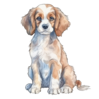 caballero Rey Charles spaniel ai generativo png