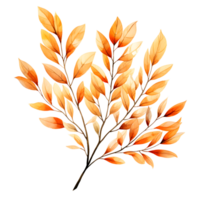 Herbst Weide Blatt png