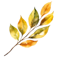 Autumn Willow Leaf png