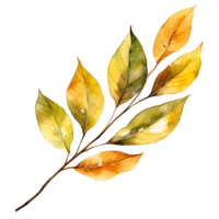 l'automne saule feuille png